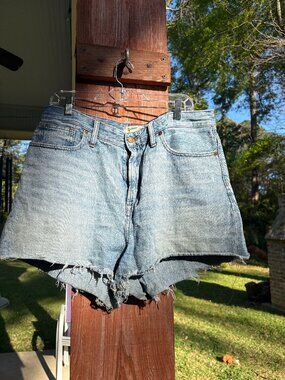 MADEWELL Curvy Perfect Vintage Denim Shorts